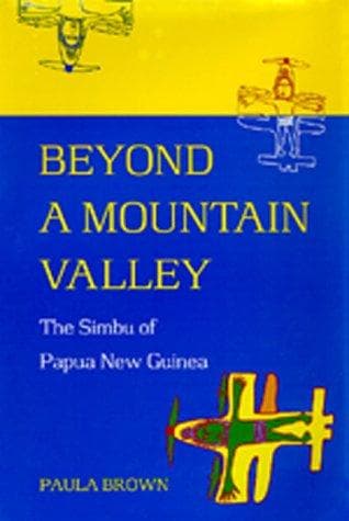 Cover of Beyond a mountain valley by Paula Brown
