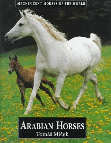 Cover of Arabian horses by Tomáš Míček