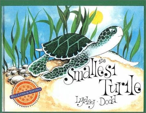 Cover of The smallest turtle by Lynley Dodd