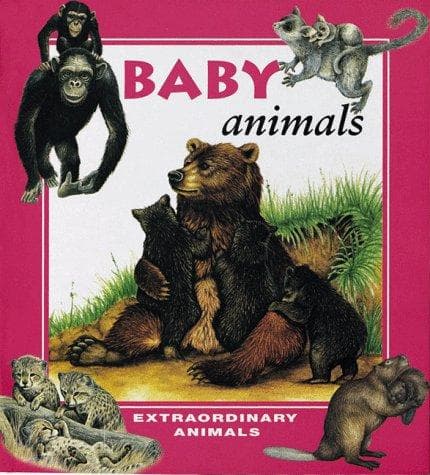 Cover of Baby animals by Brown, Andrew