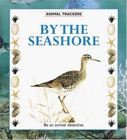 Cover of By the seashore by Tessa Paul