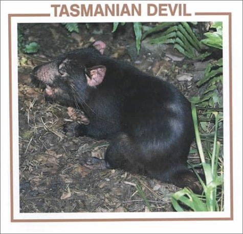 Cover of Tasmanian devil by Lynn M. Stone