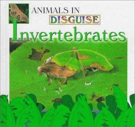 Cover of Invertebrates by Lynn M. Stone