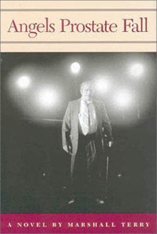 Cover of Angels prostate fall by Marshall Terry