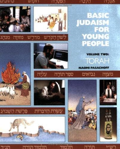 Cover of Basic Judaism for young people by Naomi E. Pasachoff