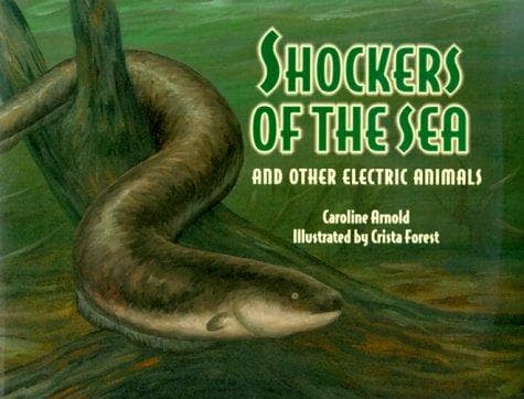 Cover of Shockers of the sea by Caroline Arnold
