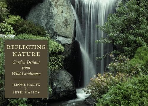 Cover of Reflecting nature by Jerome Malitz