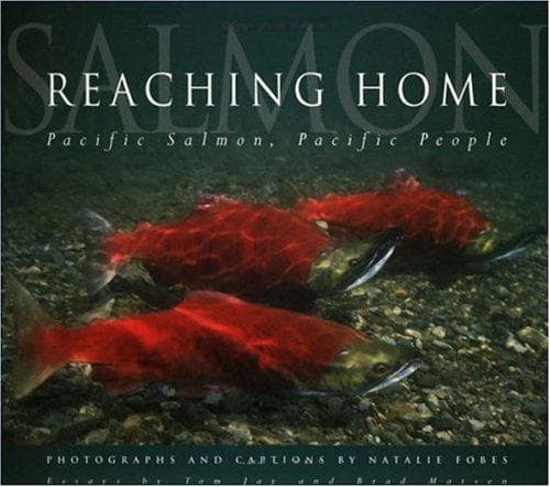 Cover of Reaching home by Natalie Fobes
