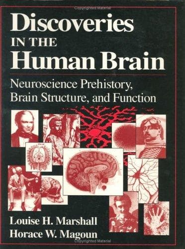 Cover of Discoveries in the human brain by Louise H. Marshall