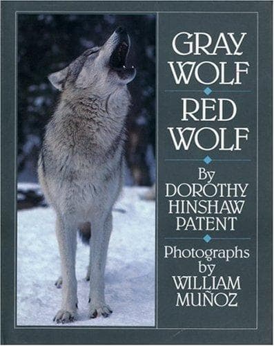 Cover of Gray Wolf, Red Wolf by Dorothy Hinshaw Patent