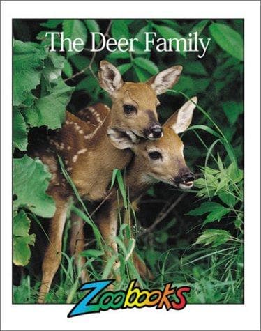 Cover of The deer family by Timothy L. Biel