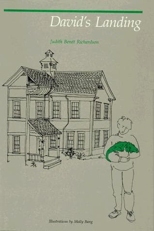 Cover of David's landing by Judith Benét Richardson