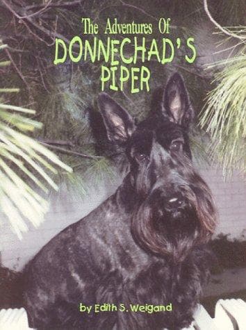 Cover of The adventures of Donnechad's Piper by Edith S. Weigand