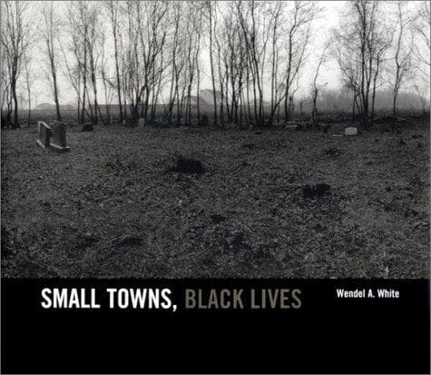 Cover of Small towns, Black lives by Wendel A. White