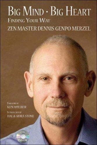 Cover of Big mind, big heart by Dennis Genpo Merzel