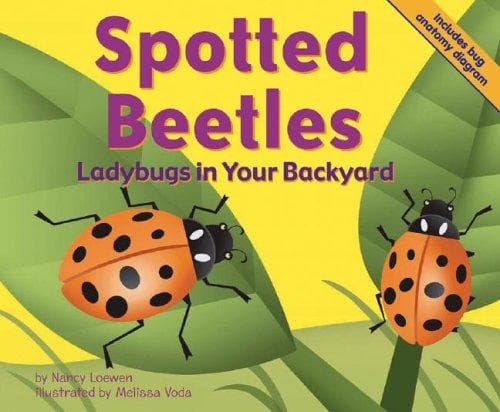Cover of Spotted Beetles by Nancy Loewen