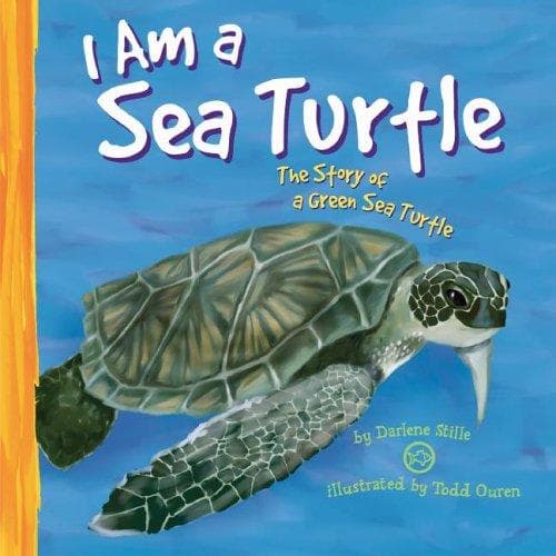 Cover of I Am a Sea Turtle by Darlene R. Stille
