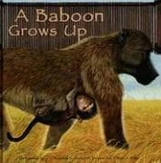Cover of A Baboon Grows Up (Wild Animals) by Anastasia Suen