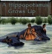 Cover of A Hippopotamus Grows Up (Wild Animals) by Anastasia Suen