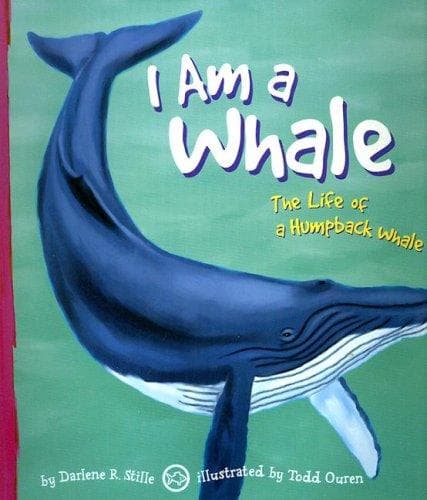 Cover of I Am a Whale by Darlene R. Stille