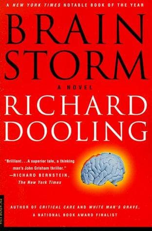 Cover of Brain storm by Richard Dooling