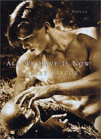 Cover of All we have is now by Taylor, Robert