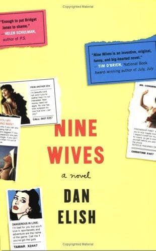 Cover of Nine wives by Dan Elish