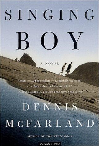 Cover of Singing boy by Dennis McFarland