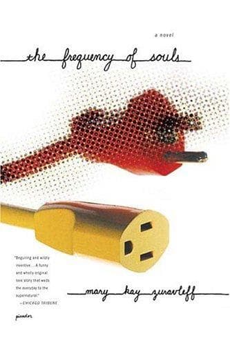 Cover of The frequency of souls by Mary Kay Zuravleff