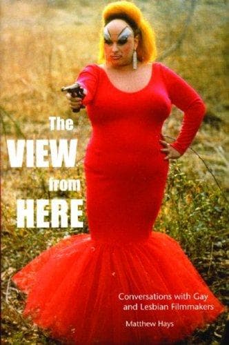 Cover of The View from Here by Matthew Hays