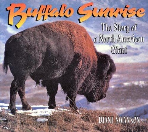 Cover of Buffalo sunrise by Diane Swanson