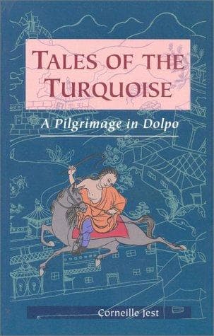 Cover of Turquoise de vie by Corneille Jest