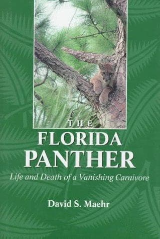 Cover of The Florida panther by David S. Maehr