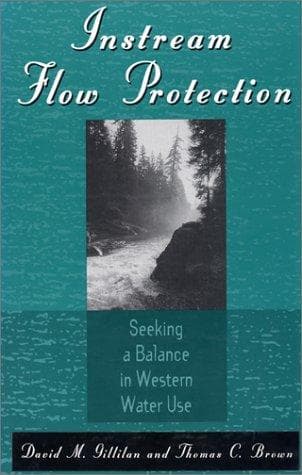 Cover of Instream flow protection by David M. Gillilan