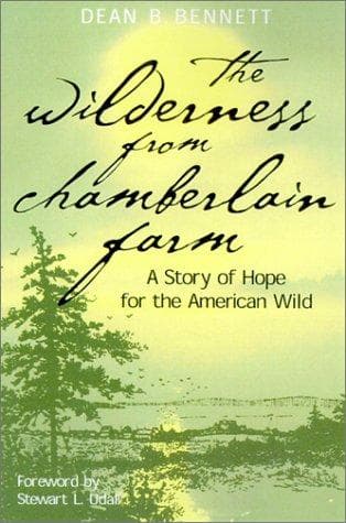 Cover of The Wilderness from Chamberlain Farm by Dean B. Bennett
