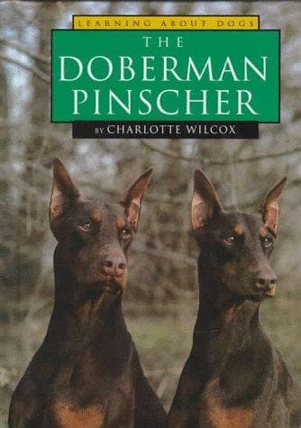 Cover of The Doberman pinscher by Charlotte Wilcox