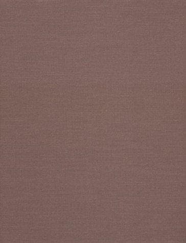 Cover of Mabel Dwight by Susan Barnes Robinson