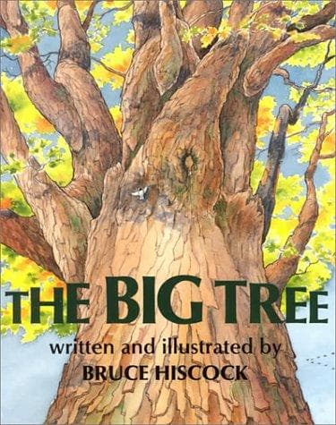 Cover of The big tree by Bruce Hiscock