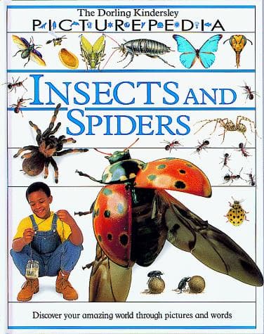Cover of Insects and Spiders (Picturepedia)  by Hillyard, P. D by P. D. Hillyard
