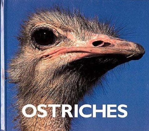Cover of Ostriches by Thane Maynard
