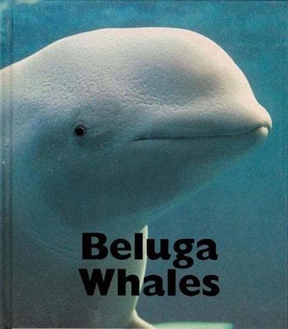 Cover of Beluga whales by Mary Berendes