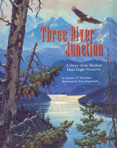 Cover of Three river junction by Saranne D. Burnham