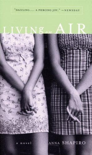Cover of Living on air by Anna Shapiro