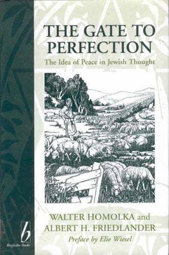 Cover of The gate to perfection by Walter Homolka