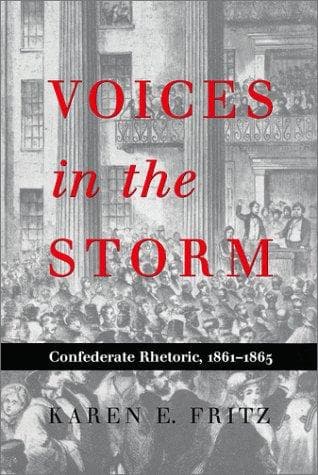 Cover of Voices in the storm by Karen E. Fritz
