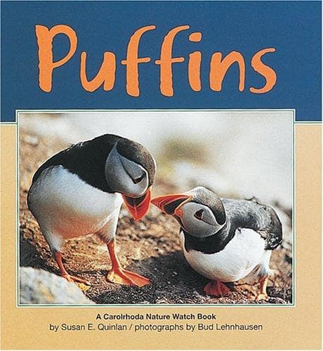 Cover of Puffins by Susan E. Quinlan