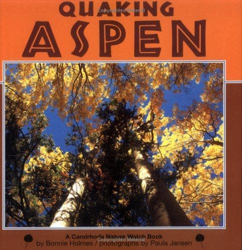 Cover of Quaking aspen by Bonnie Holmes