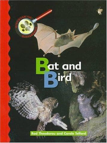 Cover of Bat and bird by Rod Theodorou