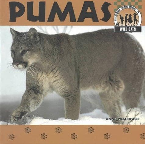 Cover of Pumas by Anne Welsbacher