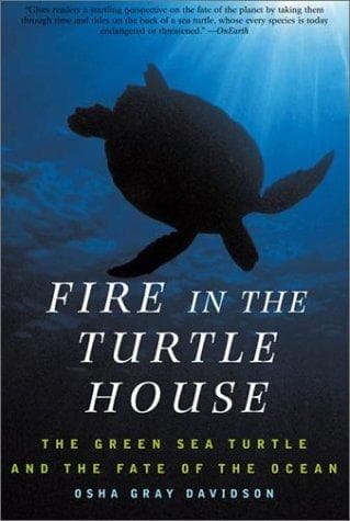 Cover of Fire in the Turtle House by Osha Gray Davidson